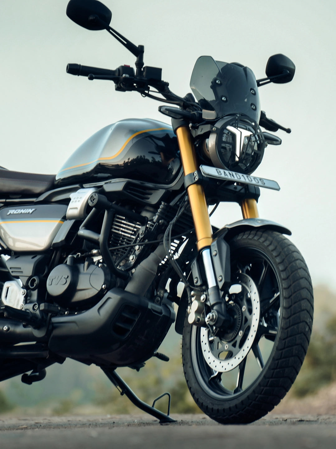 Jb Racing TVS Ronin Crashguard With Mat Slider