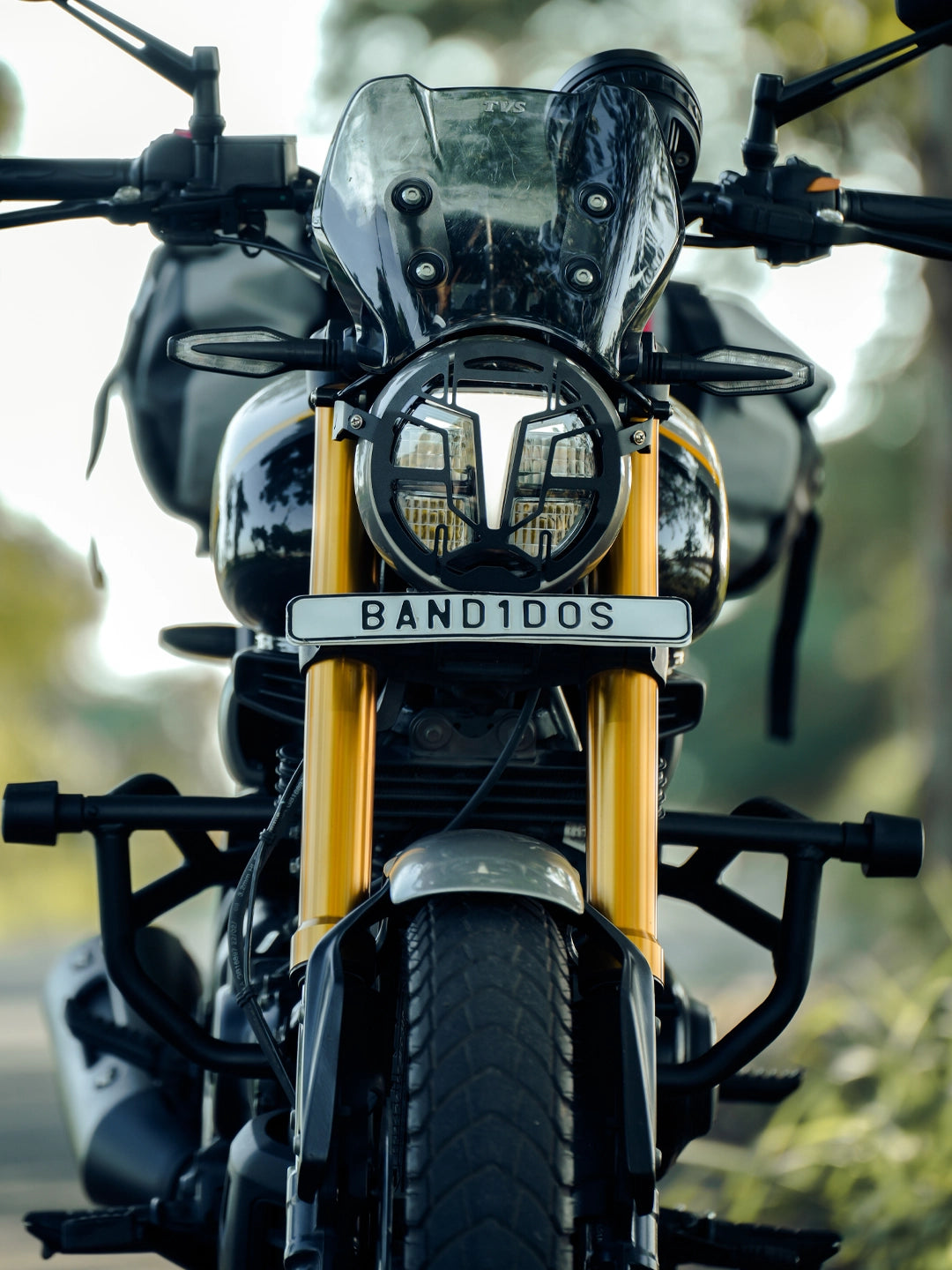 Jb Racing TVS Ronin Crashguard With Mat Slider