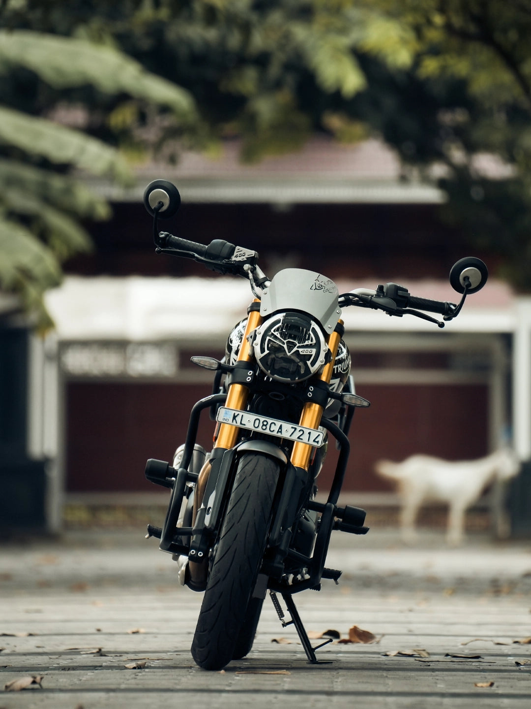 Legundary Triumph Speed 400 Thanos Crash guard With Slider