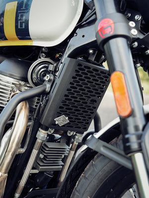 Royal Enfield bear 650 accessories