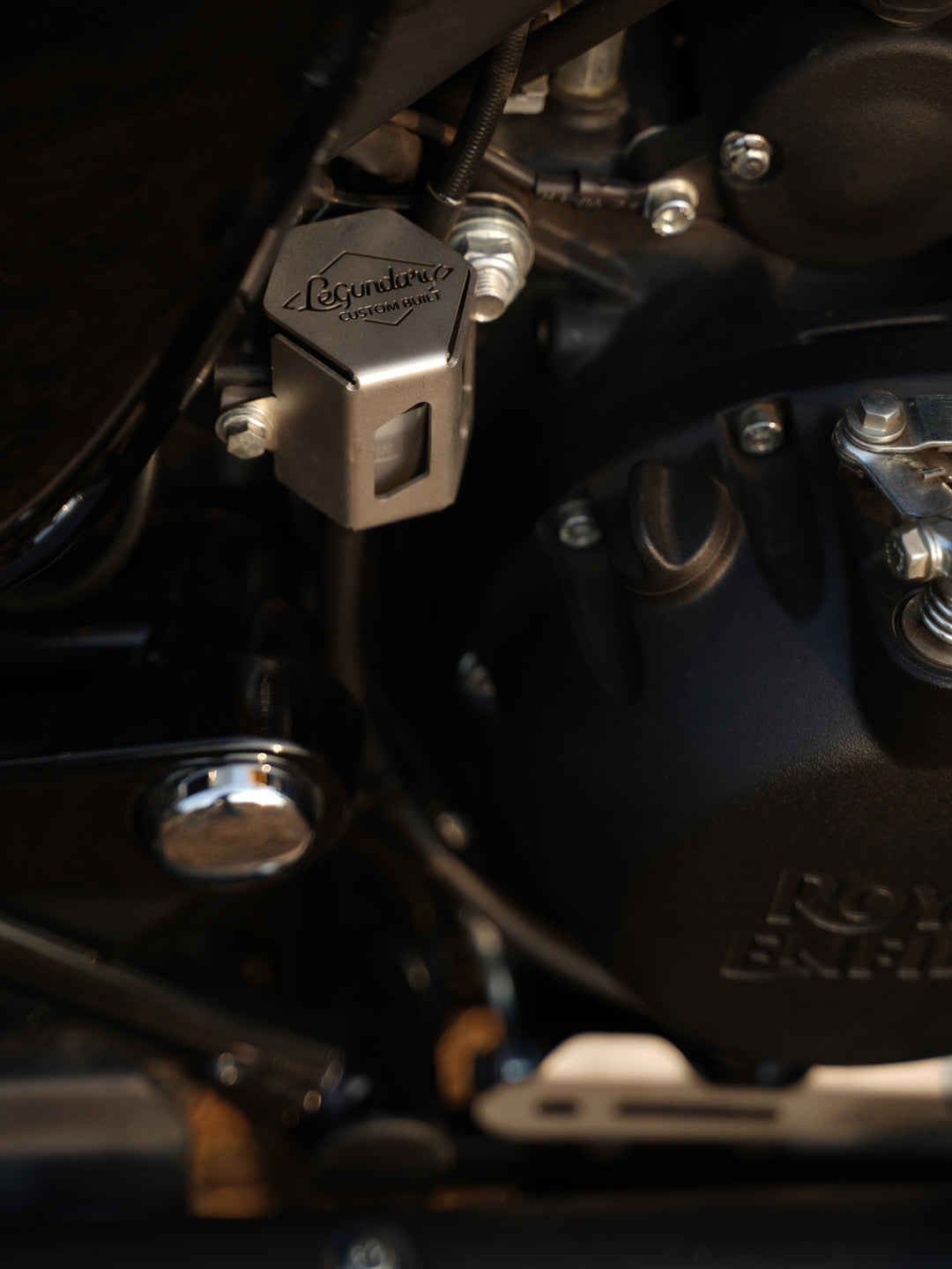 LEGUNDARY Meteor Novato Rear Brake Fluid Guard